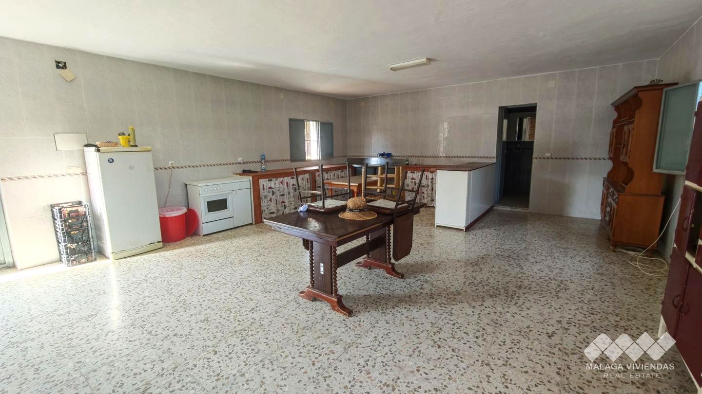 Galería 19