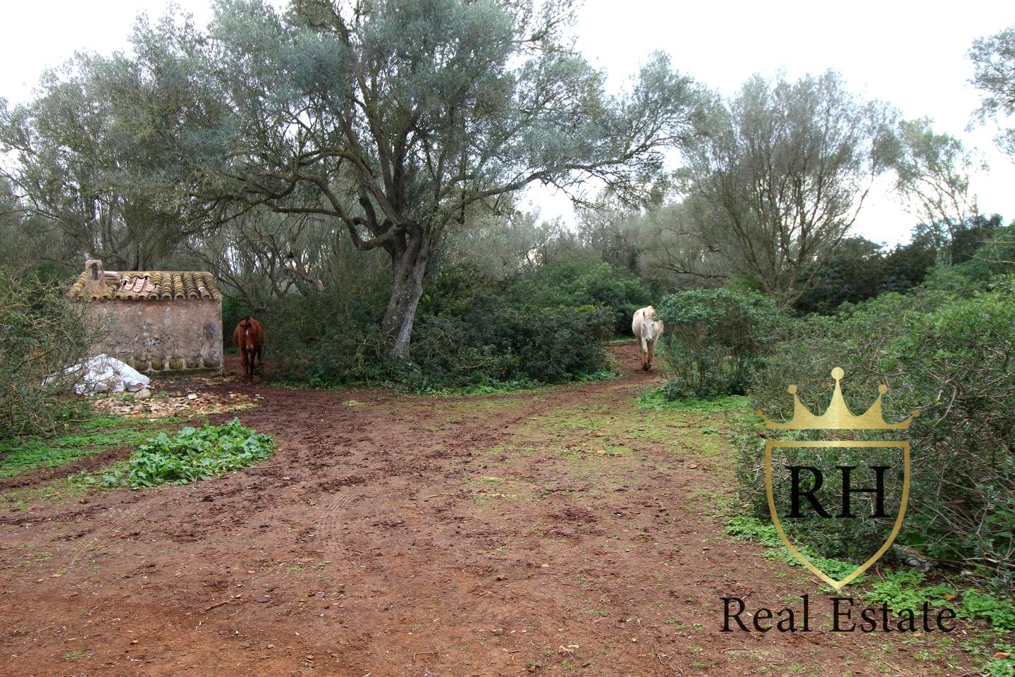 Land in POLIGONO 49 PARCELA 3, Felanitx, Illes Balears of 61129 m2