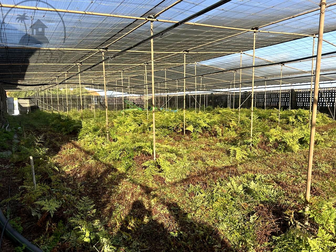 Terreno en BUENAVISTA DEL NORTE, Santa Cruz de Tenerife de 689 m2