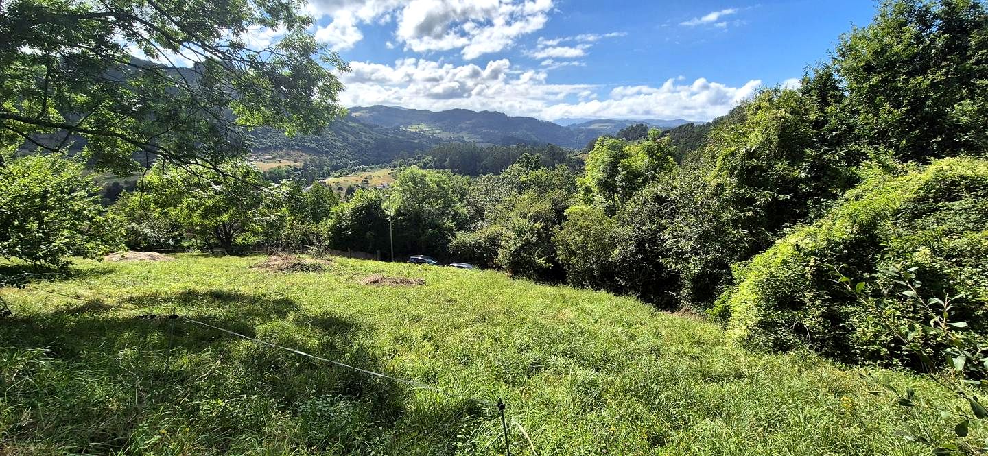 Terreno en Huerta Piedra s/n, San Roman de Candamo, Asturias de 1288 m2