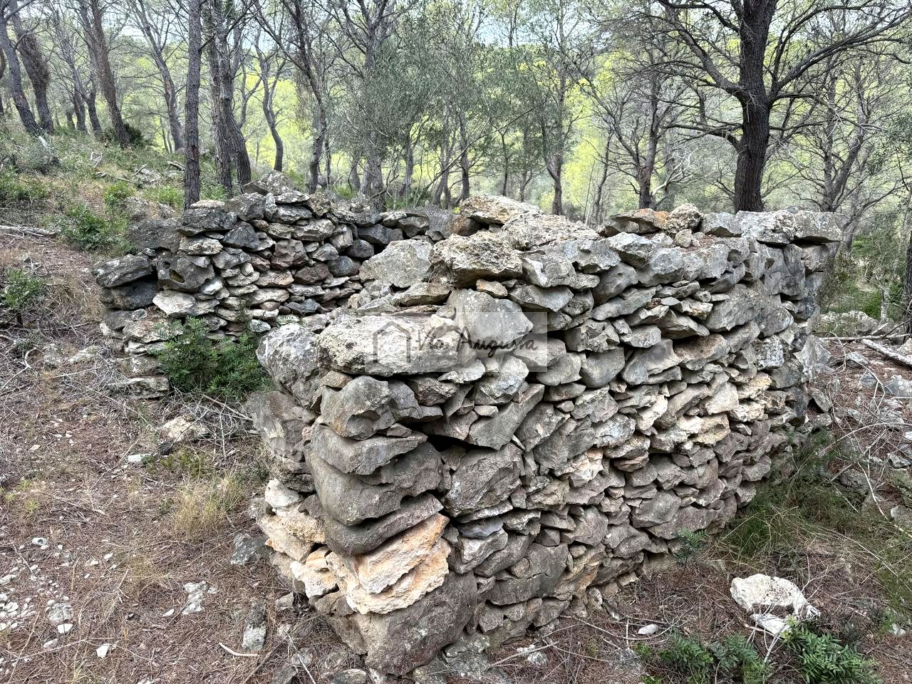 Land in Racons, L'Ametlla de Mar, Tarragona of 6742 m2