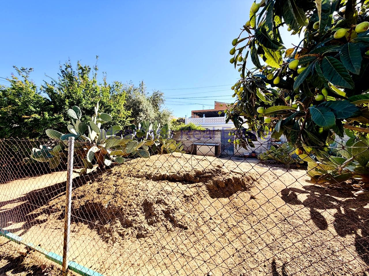 House picture 4