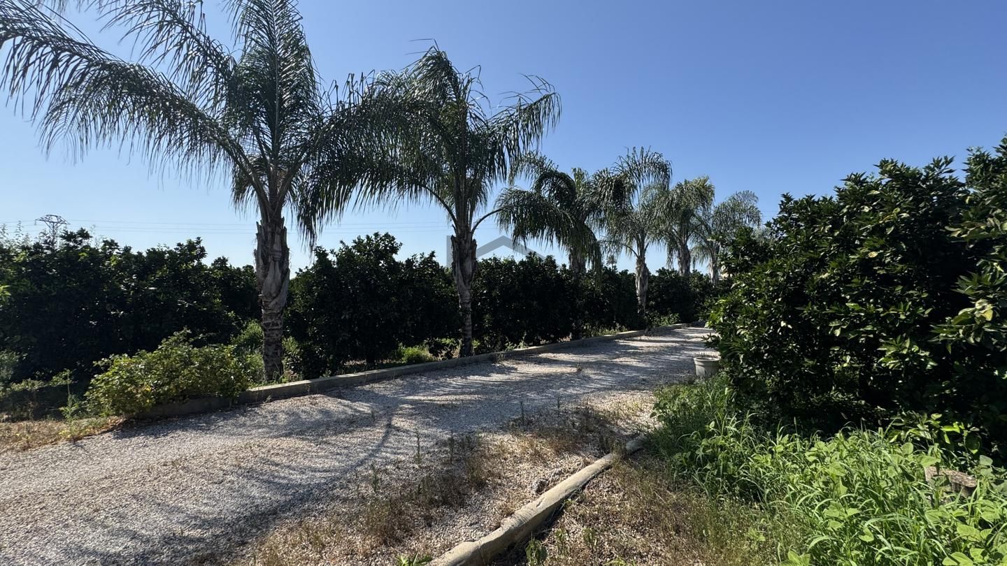 Terreno en Camí la Font, Carcaixent, Valencia de 22052 m2