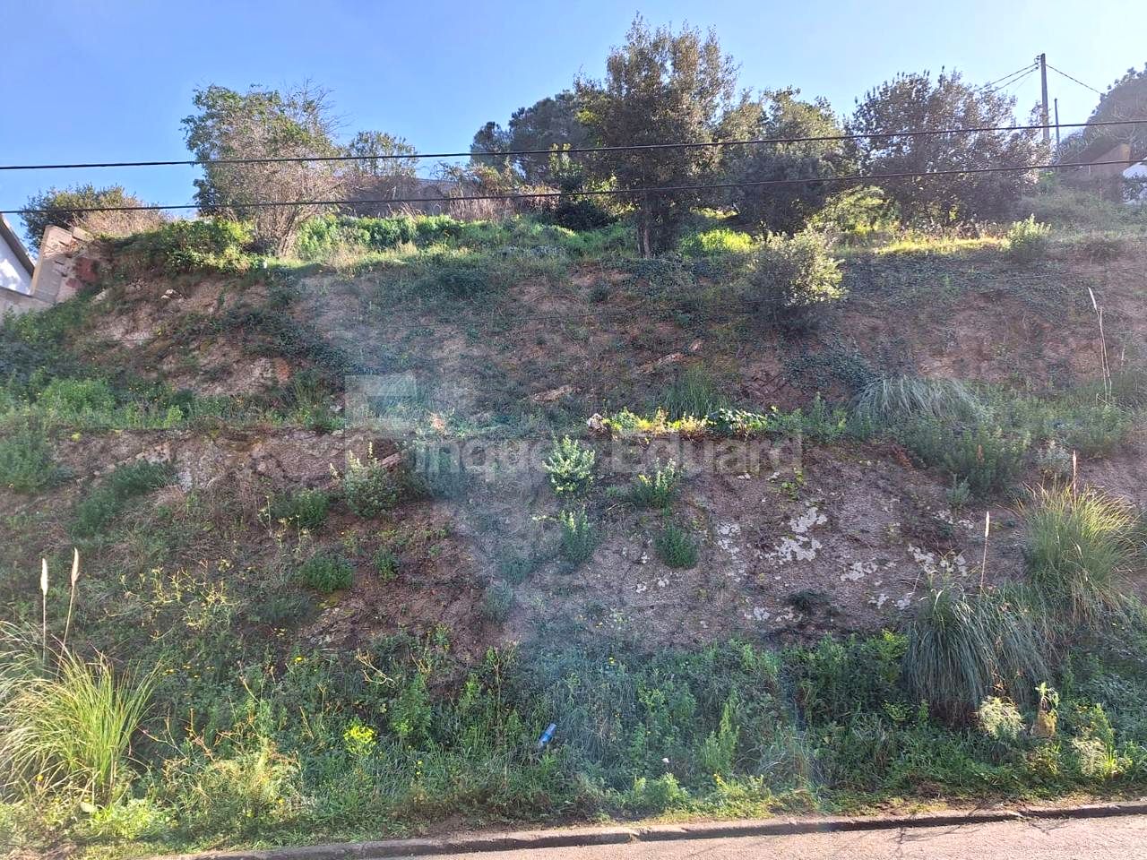 Property picture