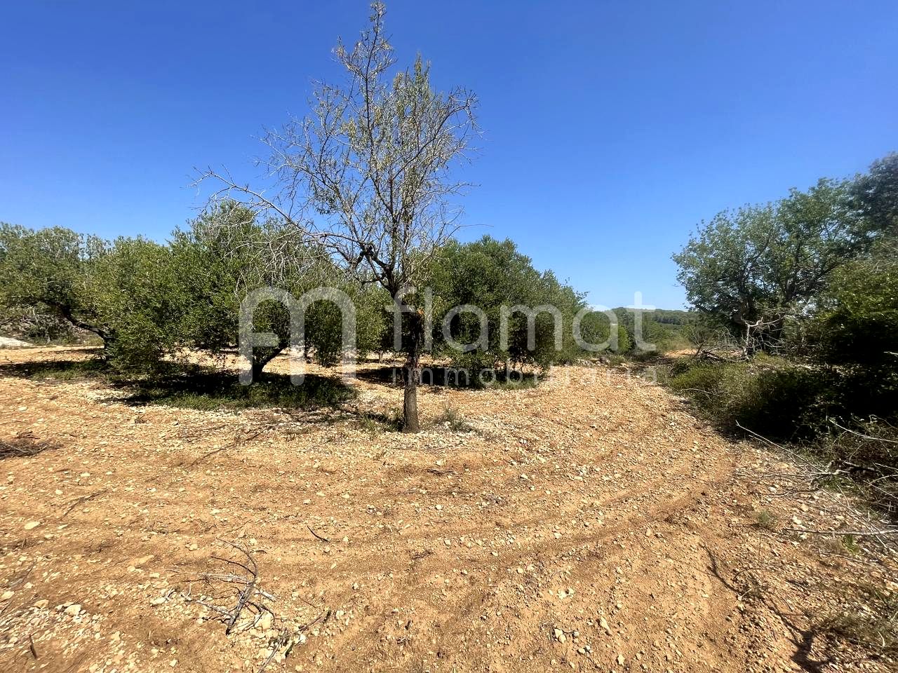 terrenos en la-pobla-de-montornes · t-211-43761 14999€