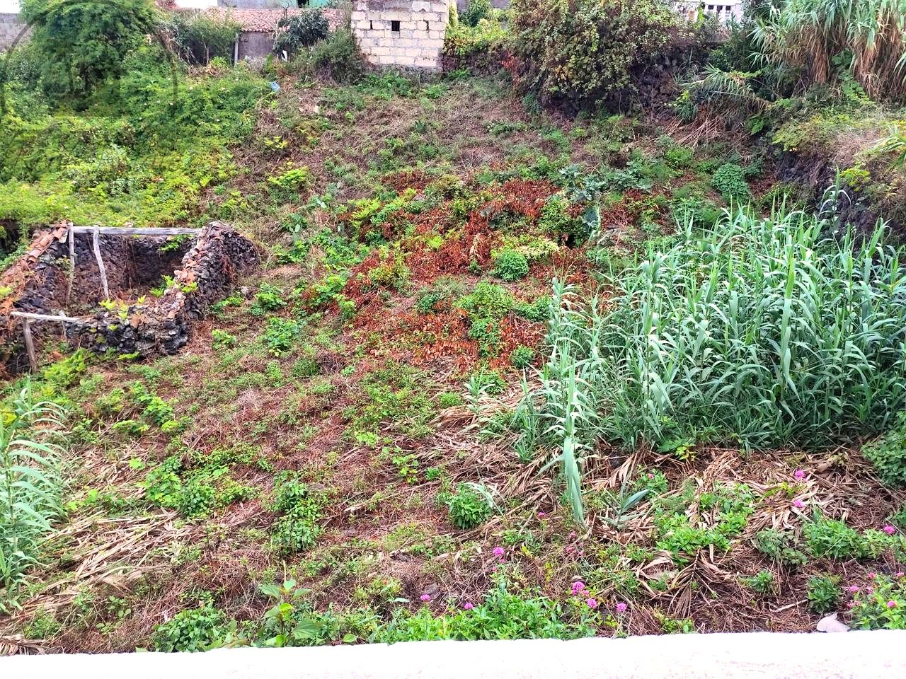 Terreno en EL TANQUE, Santa Cruz de Tenerife de 443 m2