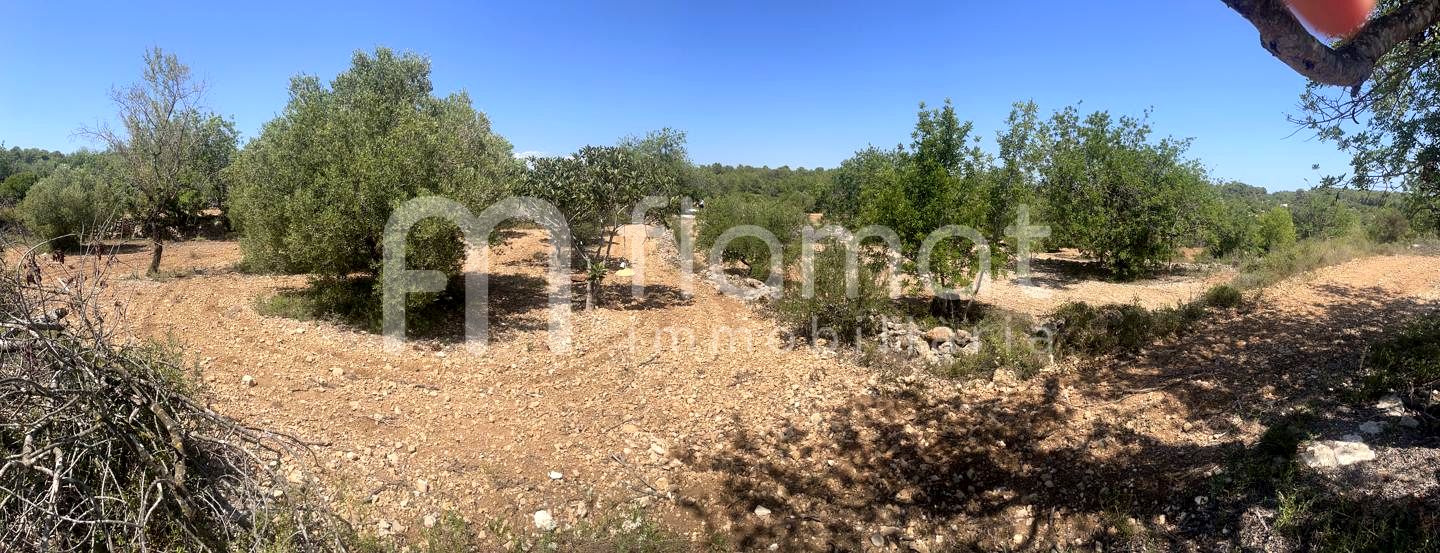 terrenos en la-pobla-de-montornes · t-211-43761 14999€