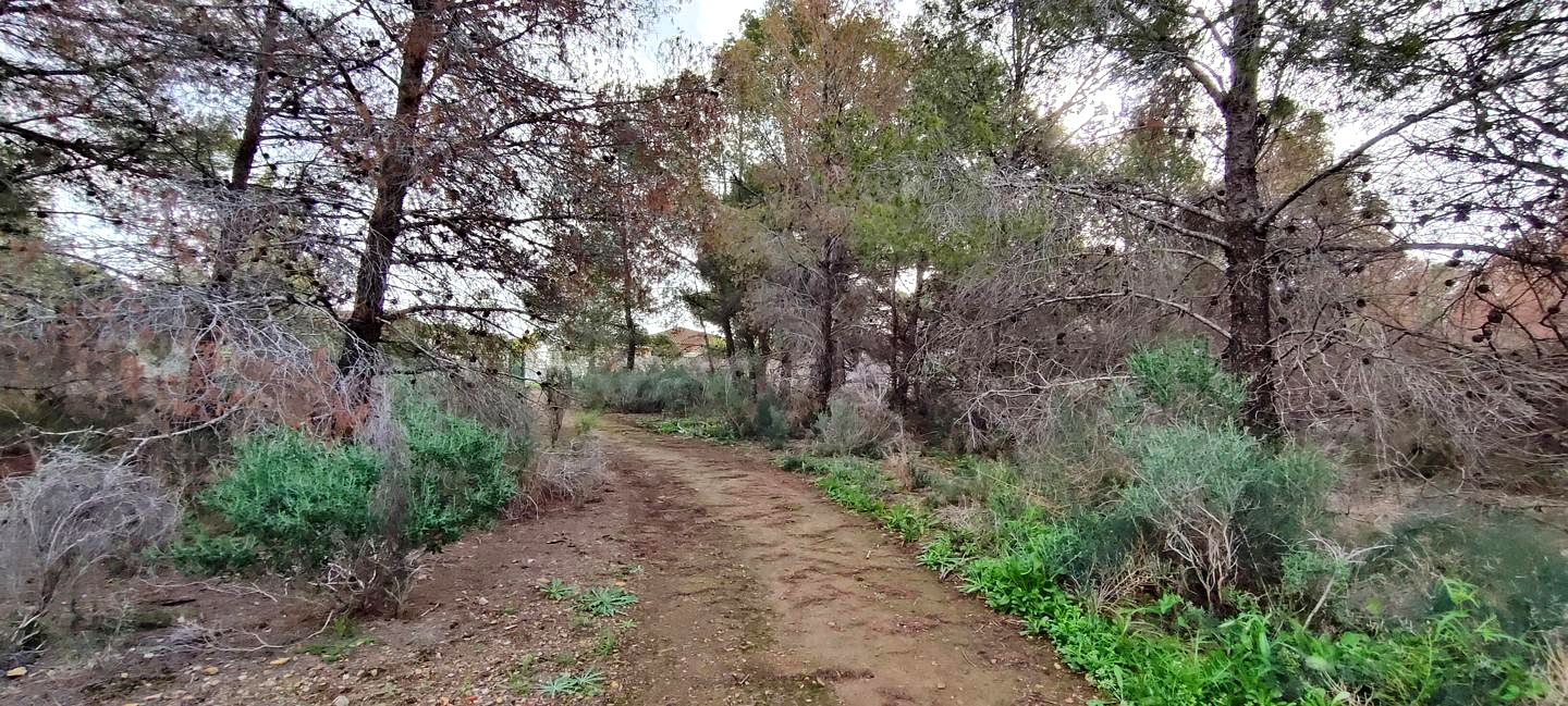 Terreno en FINESTRAT- SIERRA CORTINA, Finestrat, Alicante de 700 m2