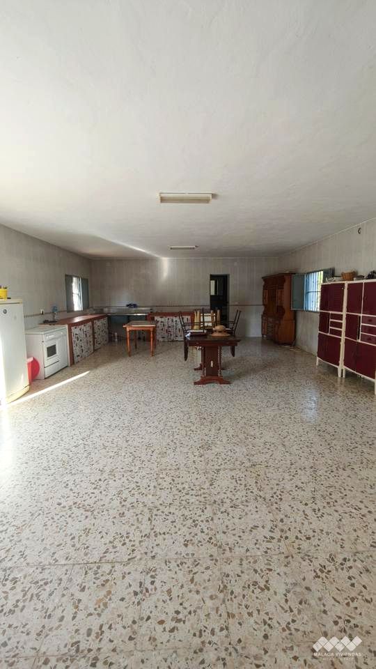 Galería 25