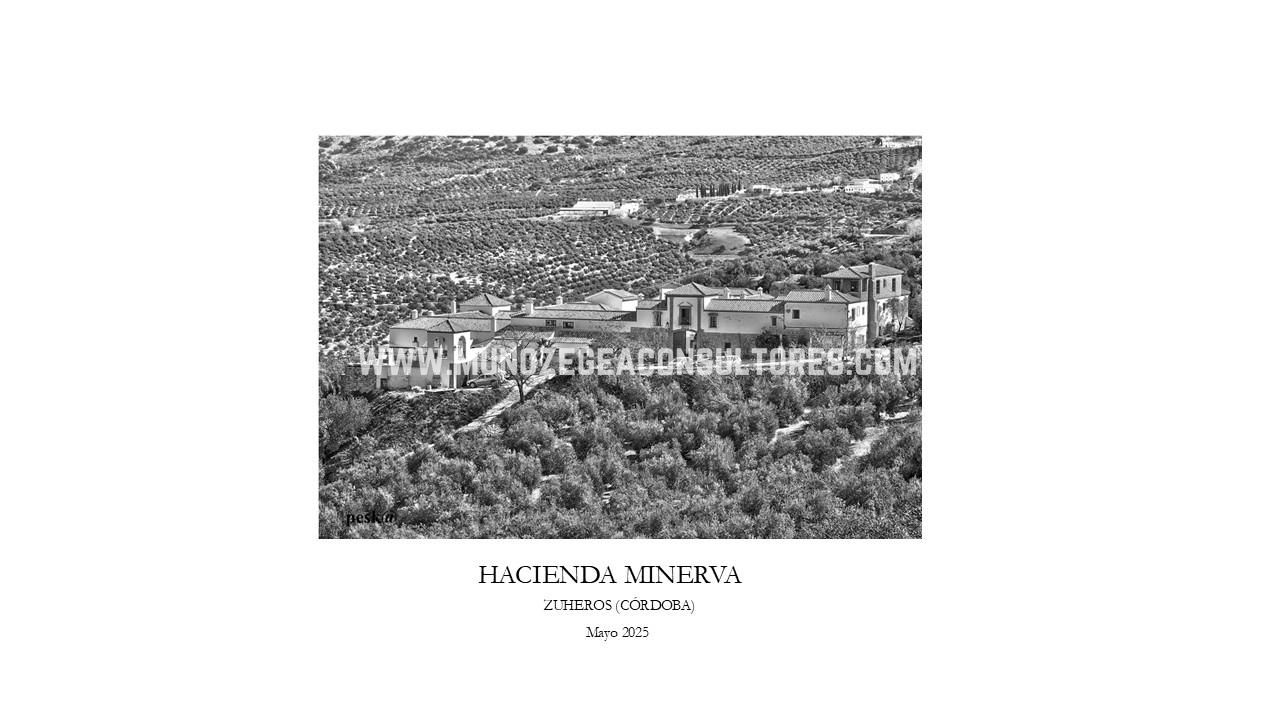 Edificio en CO-6203, Zuheros, Córdoba de 4122 m2