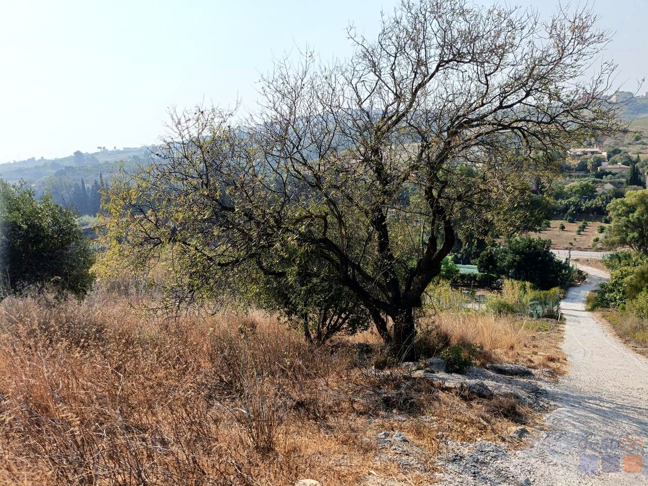 Terreno en Camino los Baños, MANILVA, Málaga de 2871 m2