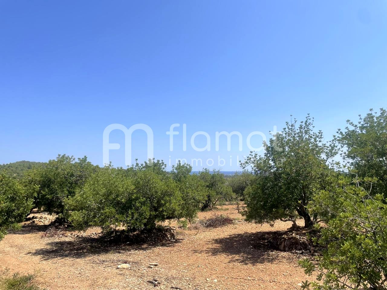 terrenos en la-pobla-de-montornes · t-211-43761 14999€