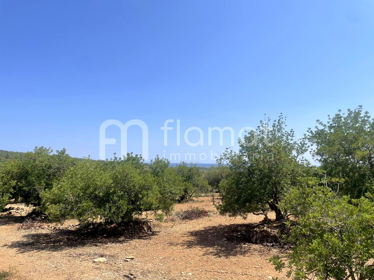 terrenos en la-pobla-de-montornes · t-211-43761 14999€