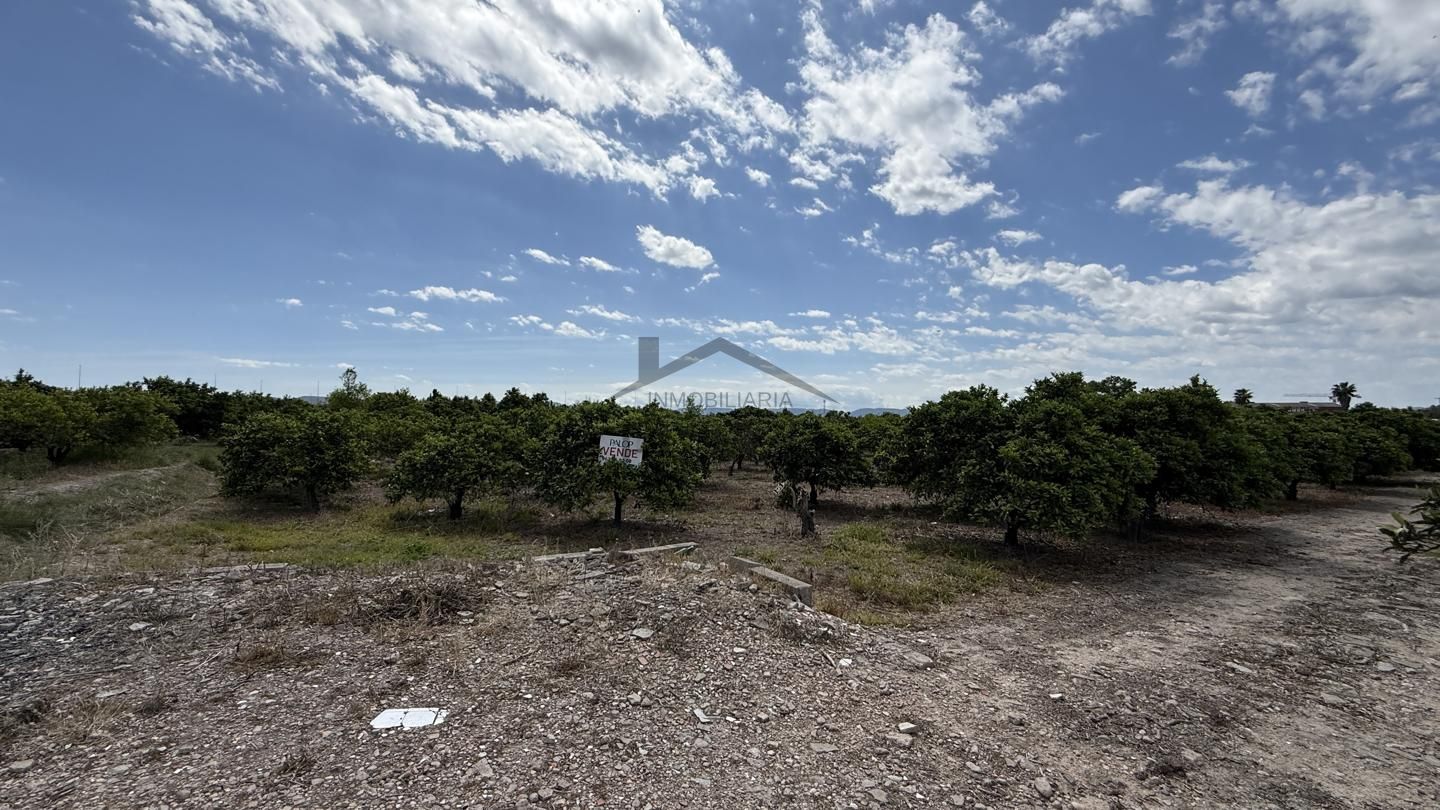 Terreno en La Pobla Llarga, Valencia de 2966 m2