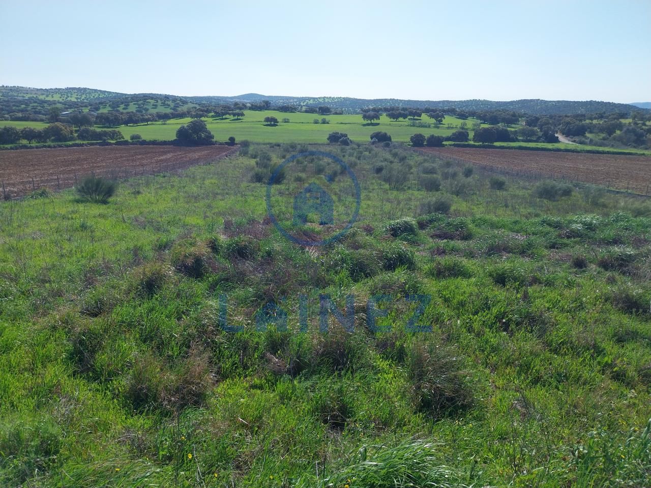 Terreno en Aldea los Rubios, Los Rubios, Badajoz de 10000 m2