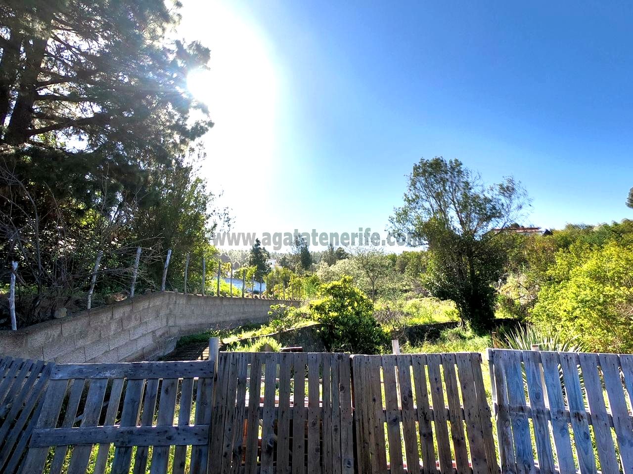 Villa in Santa Cruz de Tenerife - Image 4
