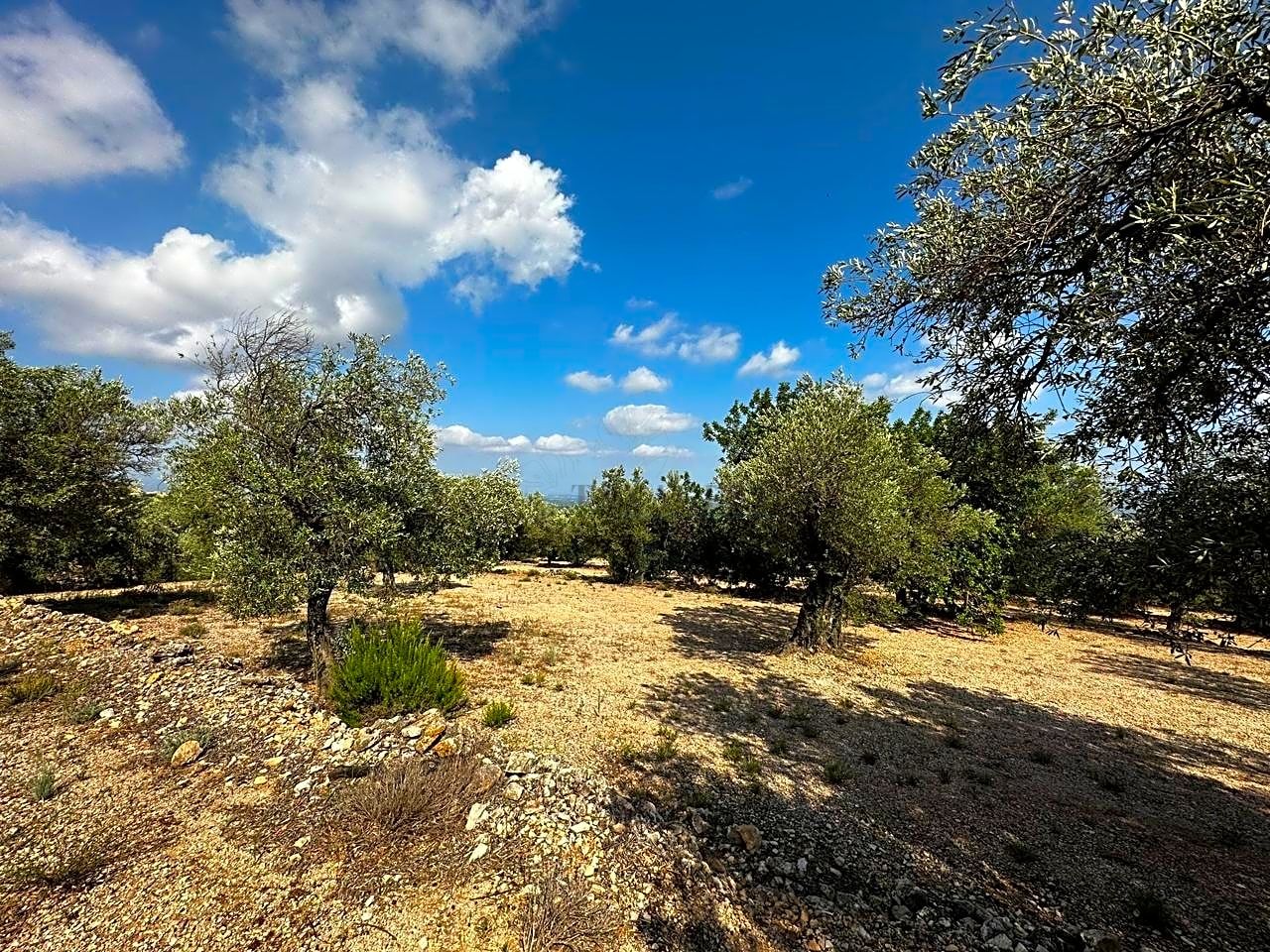 Freginals, Tarragona Mas de Barberans Tarragona 