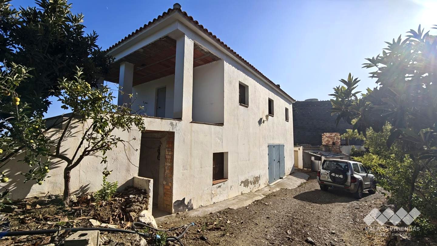 Galería 15