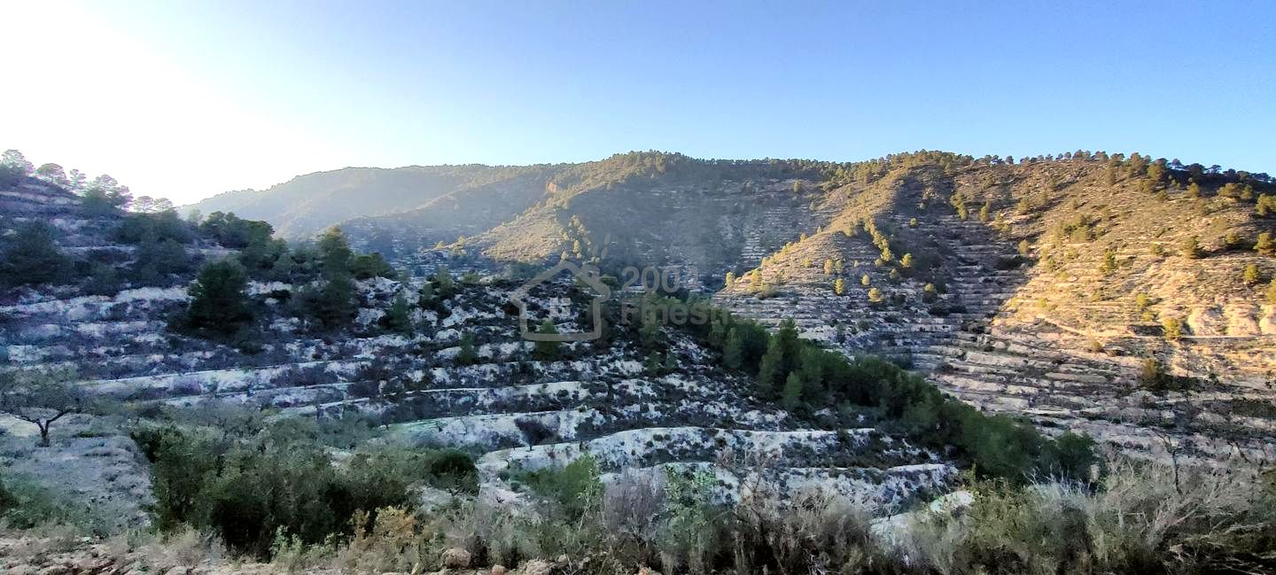 Terreno en Les Urques, Relleu, Alicante de 57743 m2