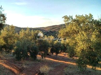 Terreno en J-210, Higuera de Calatrava, Jaén de 12046 m2