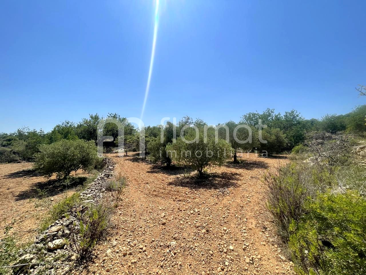 terrenos en la-pobla-de-montornes · t-211-43761 14999€