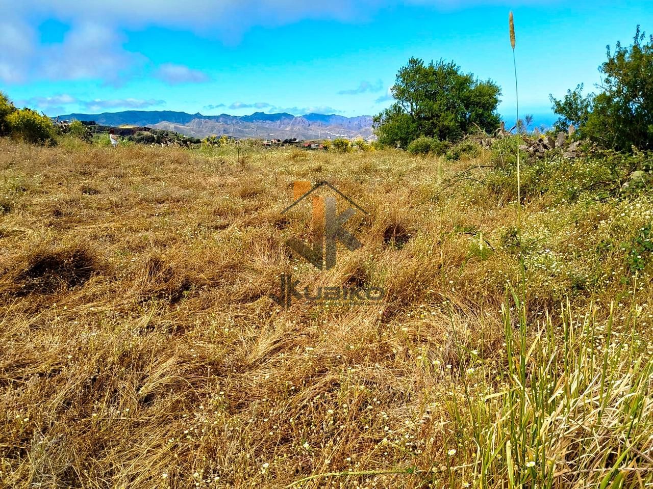 Terreno en La Esperanza, Santa Cruz de Tenerife de 8229 m2