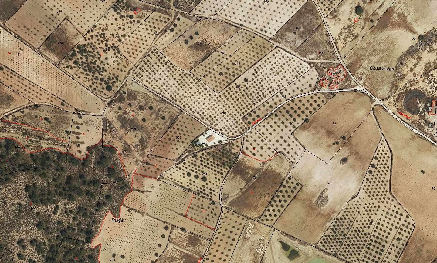 Terreno en Polígono 88 Parcela 204 CS. PULGA, Murcia, Murcia de 6511 m2