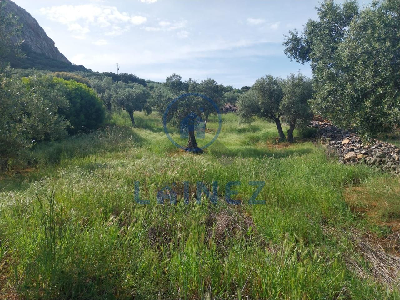 Terreno en Peñarroya-Pueblonuevo, Córdoba de 2790 m2