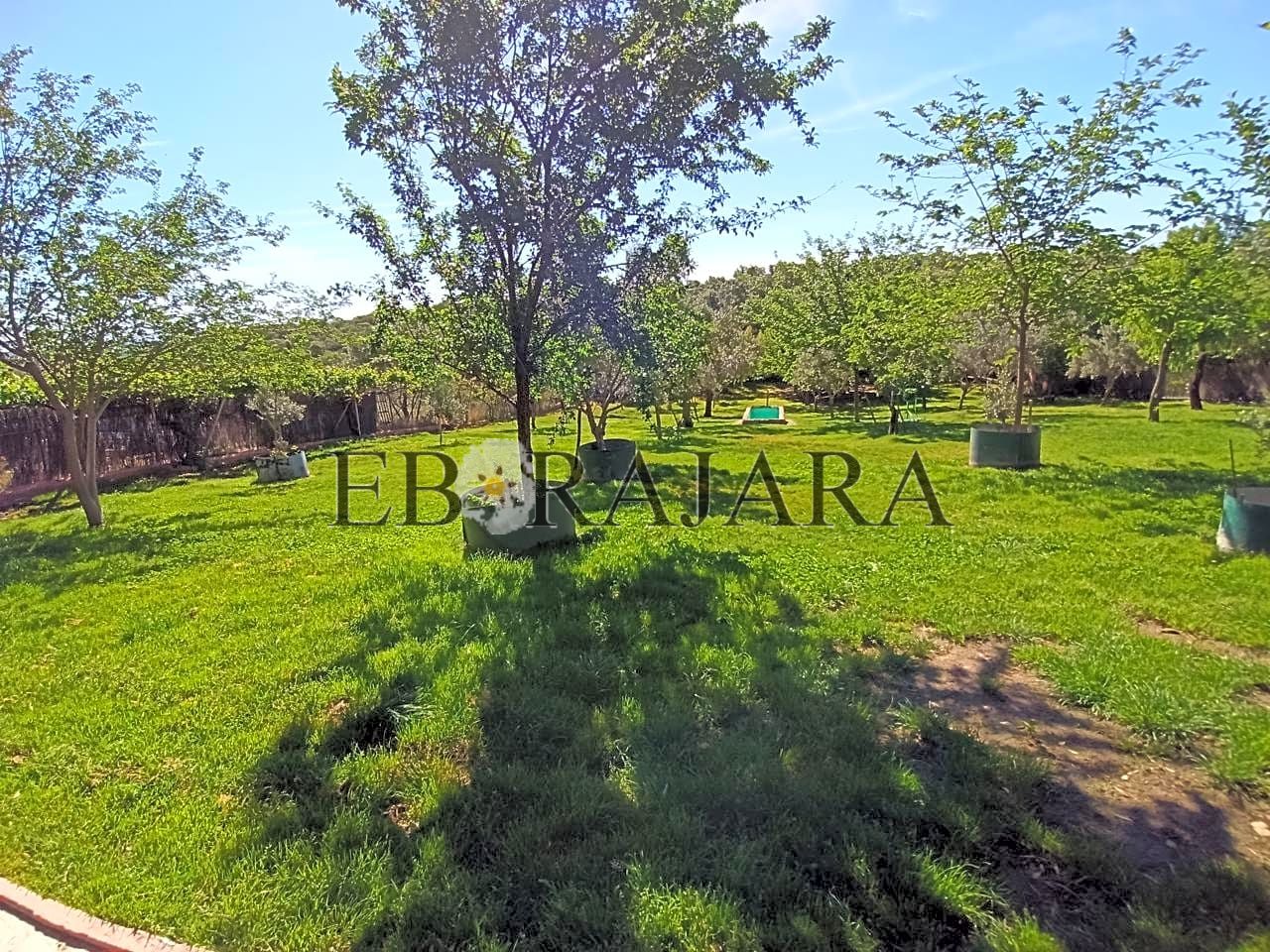 Property picture