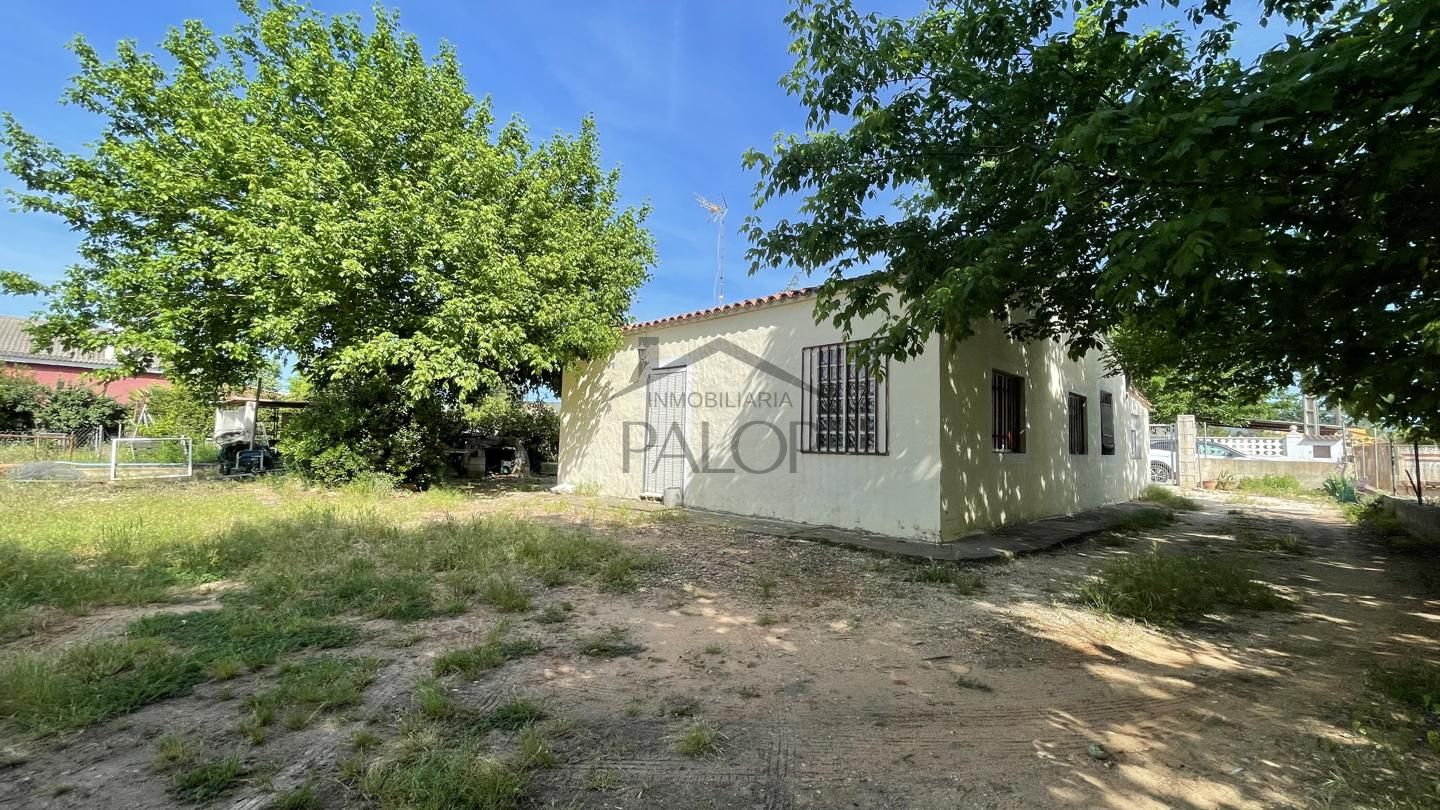 Buscador de inmuebles | Inmobiliaria Palop