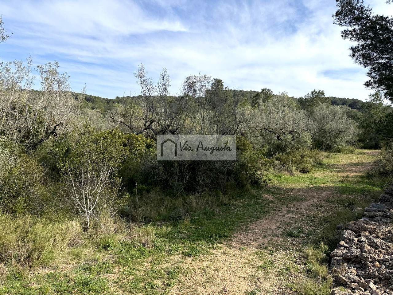 Terreno en oliveres, El Perelló, Tarragona de 7097 m2