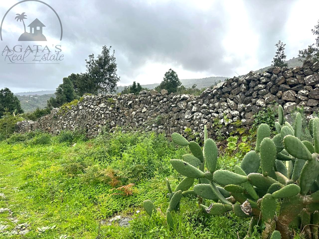 Terreno en La Guancha, Santa Cruz de Tenerife de 3759 m2
