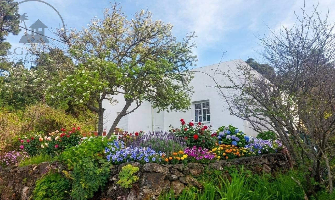 Villa in La Montaneta - view 1