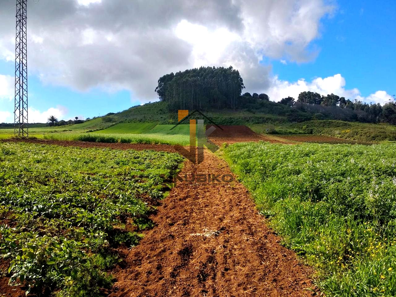 Terreno en El Ortigal, La Laguna, Santa Cruz de Tenerife de 10267 m2