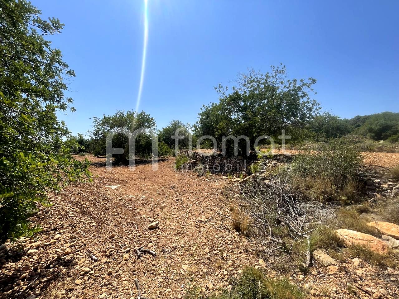 terrenos en la-pobla-de-montornes · t-211-43761 14999€