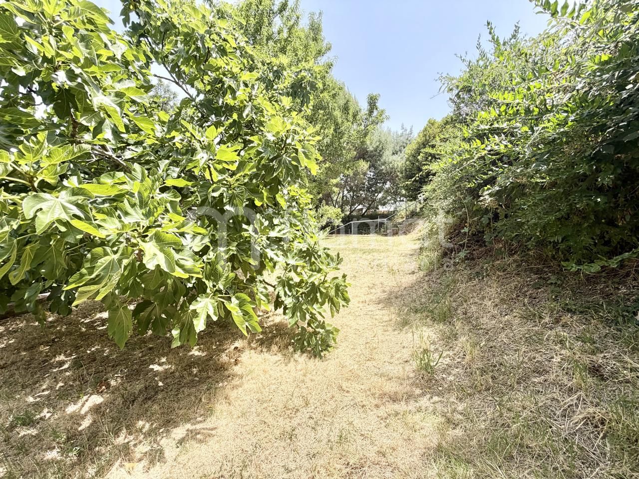 villas en palafolls · avinguda-dels-arbres-08389 449000€