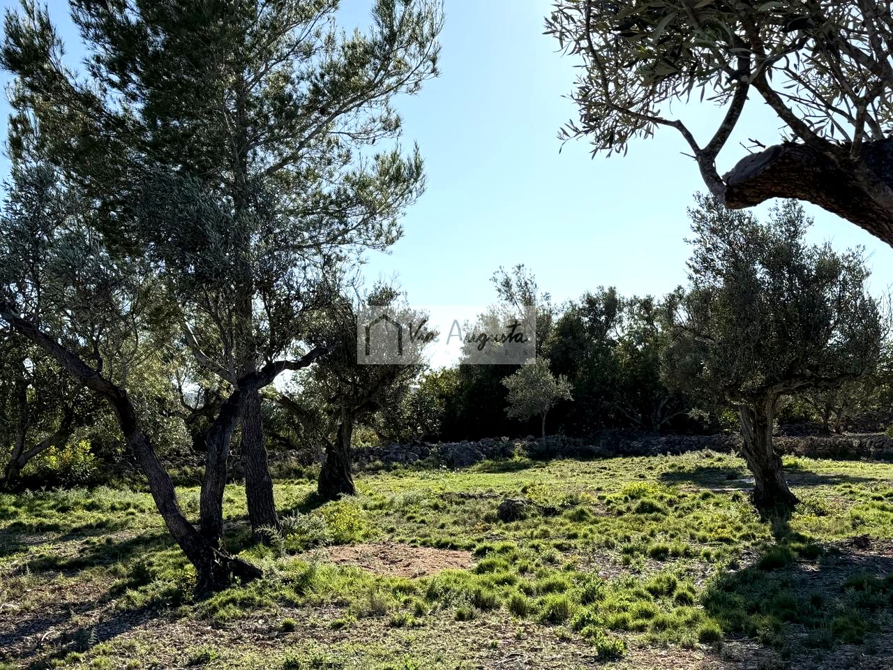 Terreno en Arrivesando, L'Ametlla de Mar, Tarragona de 24000 m2