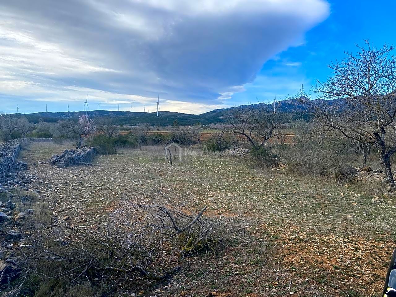 Property picture