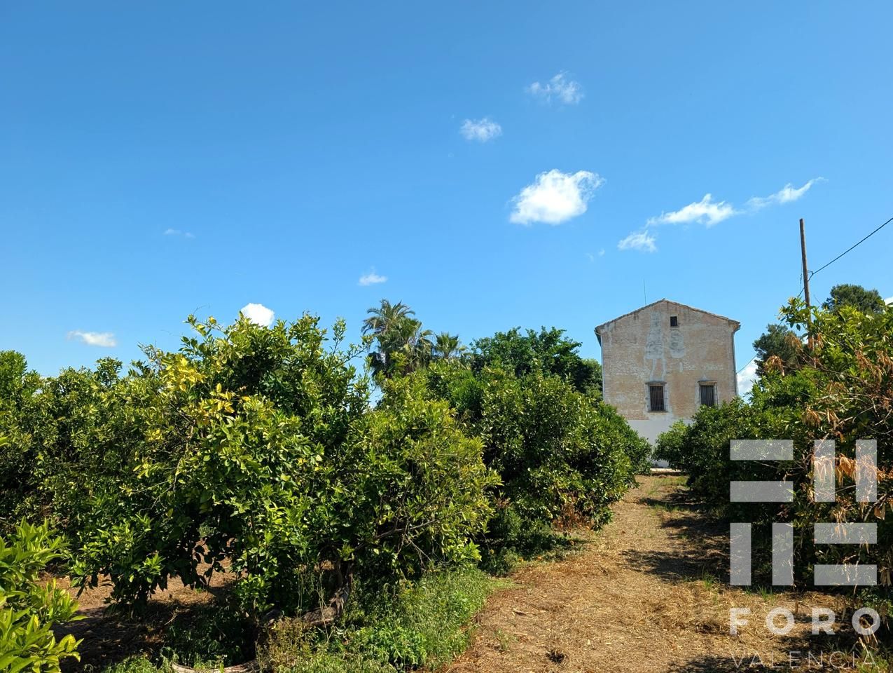 Villa in Alzira, Valencia of 1091 m2
